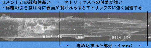 ビニロンの引き抜け挙動（図）