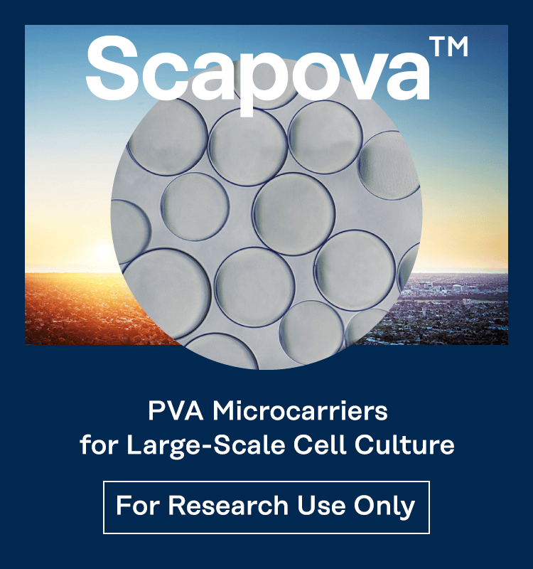 Microcarriers for mass cell culture Kuraray's Microcarriers