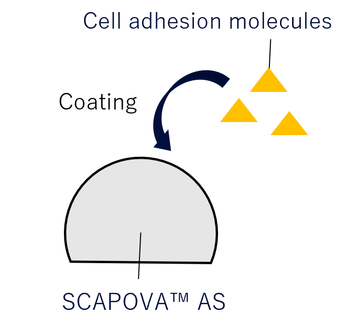 PVA Microcarriers AS