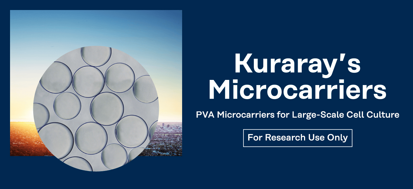 Kuraray's Microcarriers PVA Microcarriers for cell mass culture