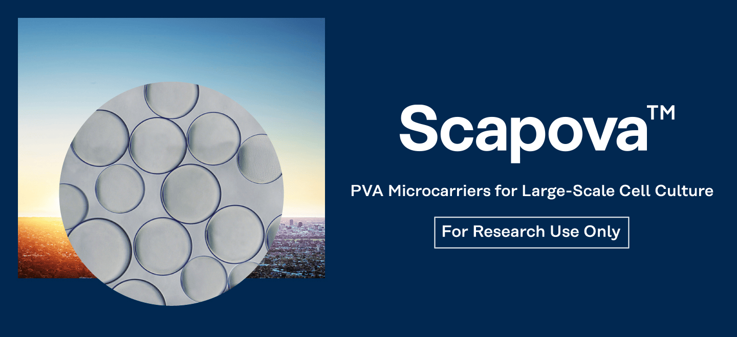 Scapova TM PVA Microcarriers for cell mass culture
