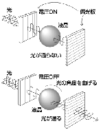 「偏光板」イメージ