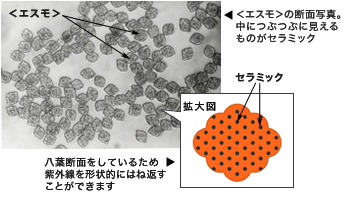 <エスモ>の断面写真。中につぶつぶに見えるものがセラミック 八葉断面をしているため紫外線を形状的にはね返すことができます