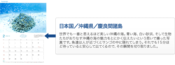 日本国/沖縄県/慶良間諸島　世界でも一番と思えるほど美しい沖縄の海。青い海、白い砂浜、そして生物たちがおりなす沖縄の海の魅力をとにかく伝えたいという思いで撮った写真です。魚達は人が近づくとサンゴの中に隠れてしまう。それでも15分ほど待っていると安心して出てくるので、その瞬間を切り取りました。