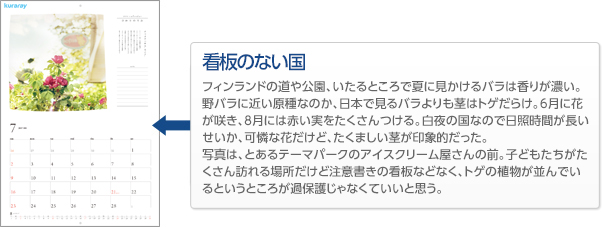 看板のない国。／フィンランドの道や公園、いたるところで夏に見かけるバラは香りが濃い。野バラに近い原種なのか、日本で見るバラよりも茎はトゲだらけ。6月に花が咲き、8月には赤い実をたくさんつける。白夜の国なので日照時間が長いせいか、可憐な花だけど、たくましい茎が印象的だった。写真は、とあるテーマパークのアイスクリーム屋さんの前。子どもたちがたくさん訪れる場所だけど注意書きの看板などなく、トゲの植物が並んでいるというところが過保護じゃなくていいと思う。