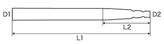 先端D2　末端D1　根尖への移行部L2　先端から末端L1