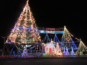 画像：昨年のクリスマスツリー点灯風景