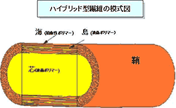 「ハイブリット型繊維の模式図」イメージ